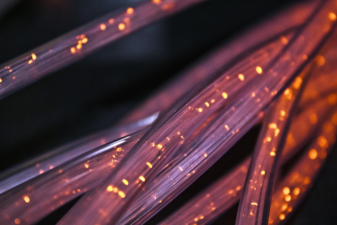Dark web connection